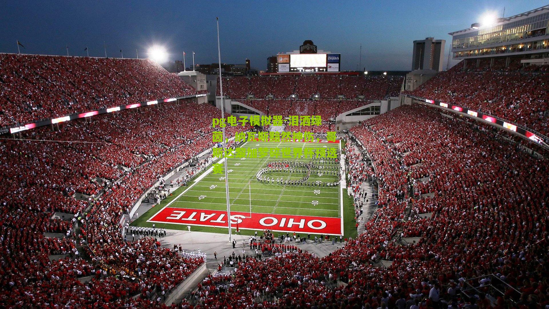 泪洒绿茵,纳瓦斯黯然神伤,哥斯达黎加梦碎世界杯预选赛